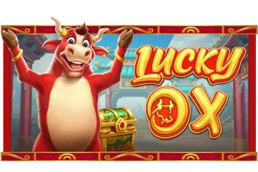 587 bet app